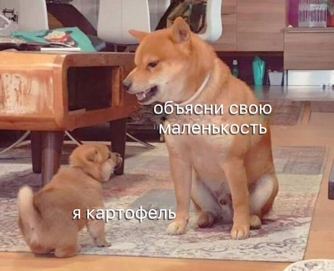 Объясни свою маленькость Объясни свою маленькость