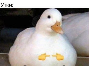 Это для меня?