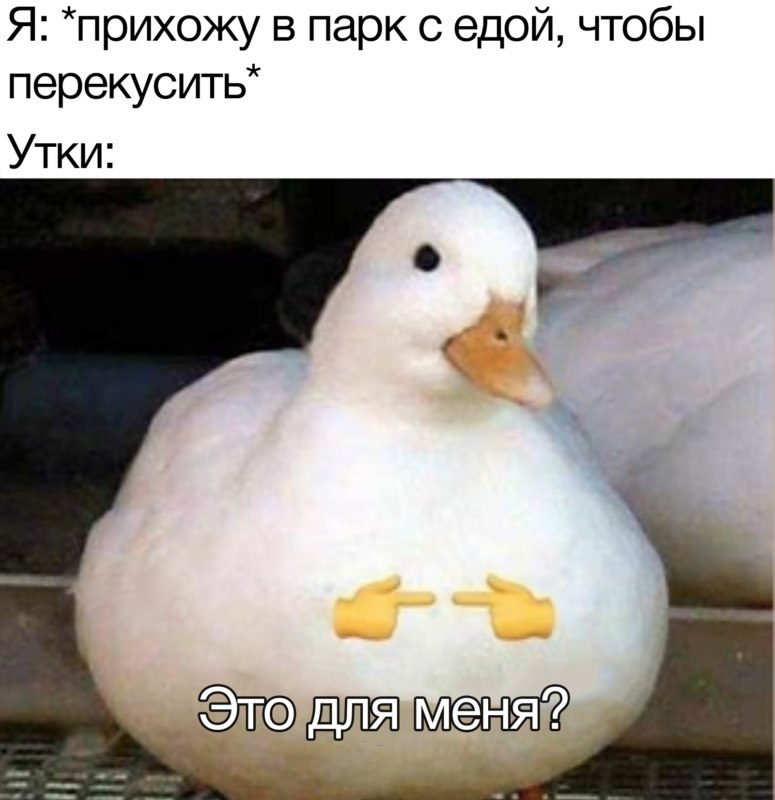 Это для меня?