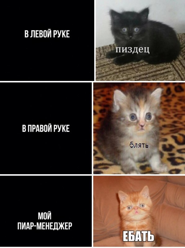 Бляздец