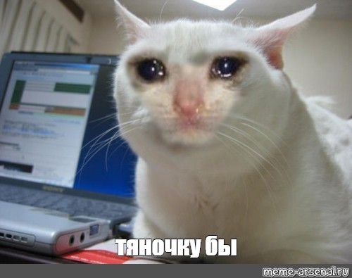 Как же хочется тяночку