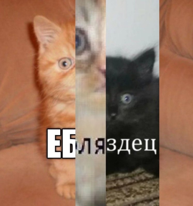 еБляздец