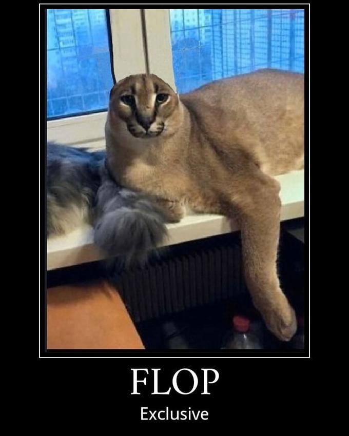 Большой шлёпа (Big Floppa) 