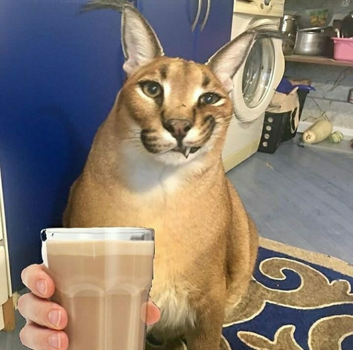 Большой Шлепа