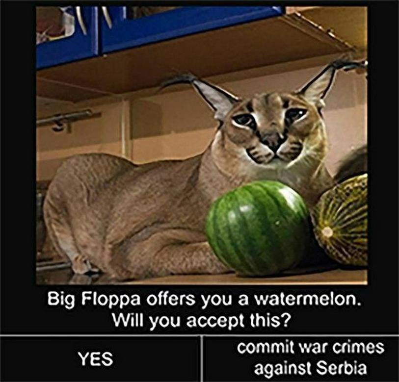 Большой Шлепа