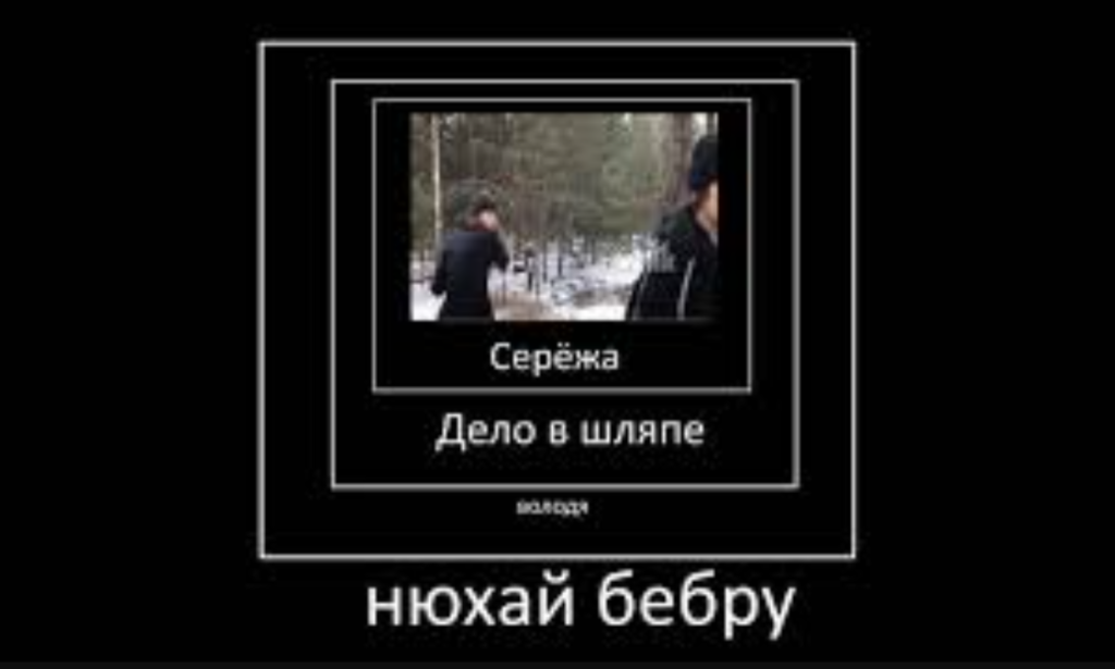 нюхай бебру нюхай бебру