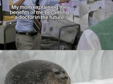 Пепе Сильвия и тюлень