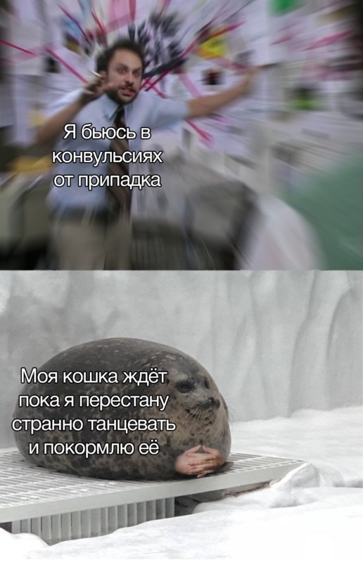 Пепе Сильвия и тюлень