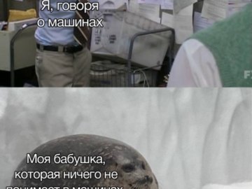 Пепе Сильвия и тюлень