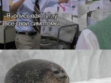 Пепе Сильвия и тюлень