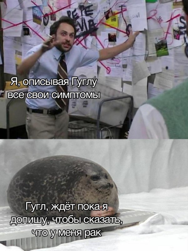Пепе Сильвия и тюлень
