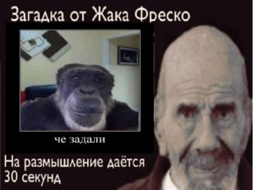 Загадка от Жака Фреско
