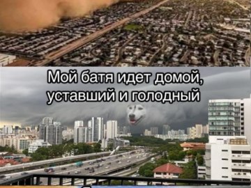 Песчаная буря с лицом собаки