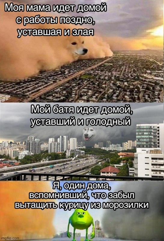Песчаная буря с лицом собаки Песчаная буря с лицом собаки