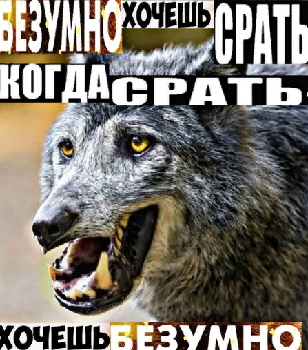 Безумно можно быть первым Безумно можно быть первым