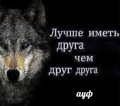 что такое ауф что такое ауф