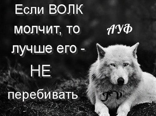 ауф мемы ауф мемы