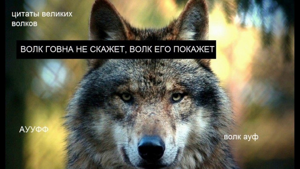 ауфф мемы ауфф мемы