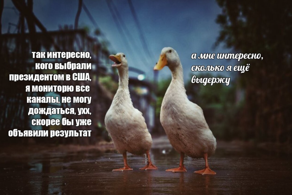 мемы про выборы в сша