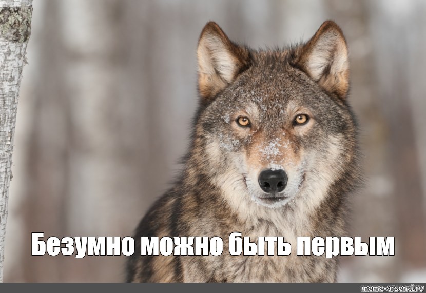 Безумно можно быть первым Безумно можно быть первым