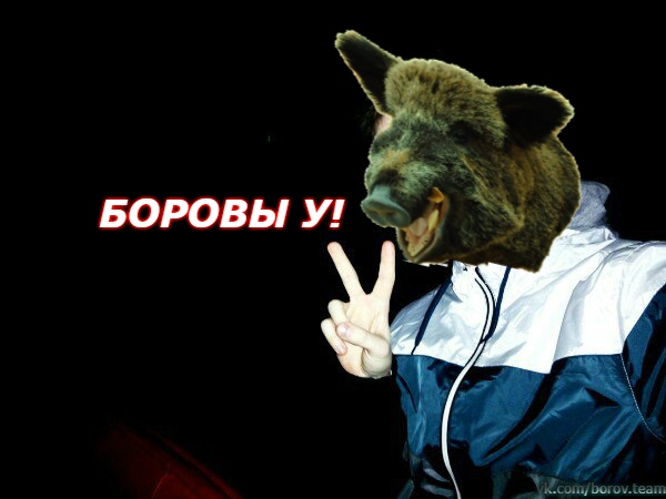боровы ууу меллстрой