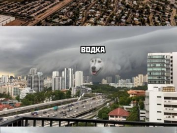 Песчаная буря с лицом собаки