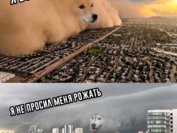Песчаная буря с лицом собаки