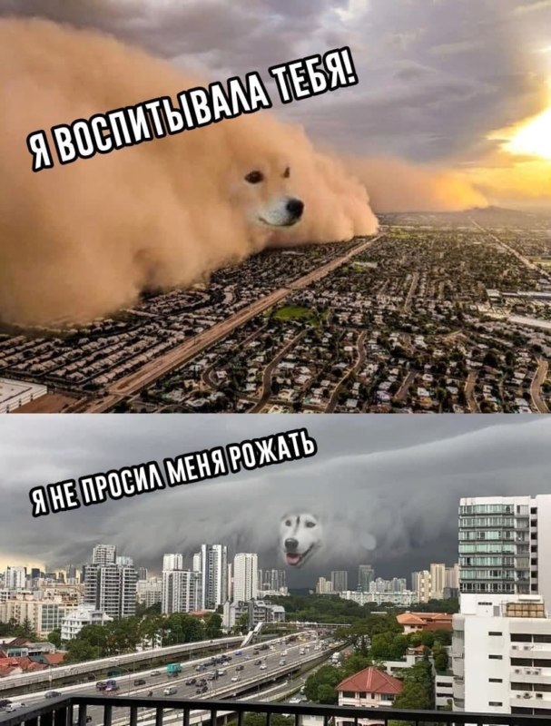Песчаная буря с лицом собаки
