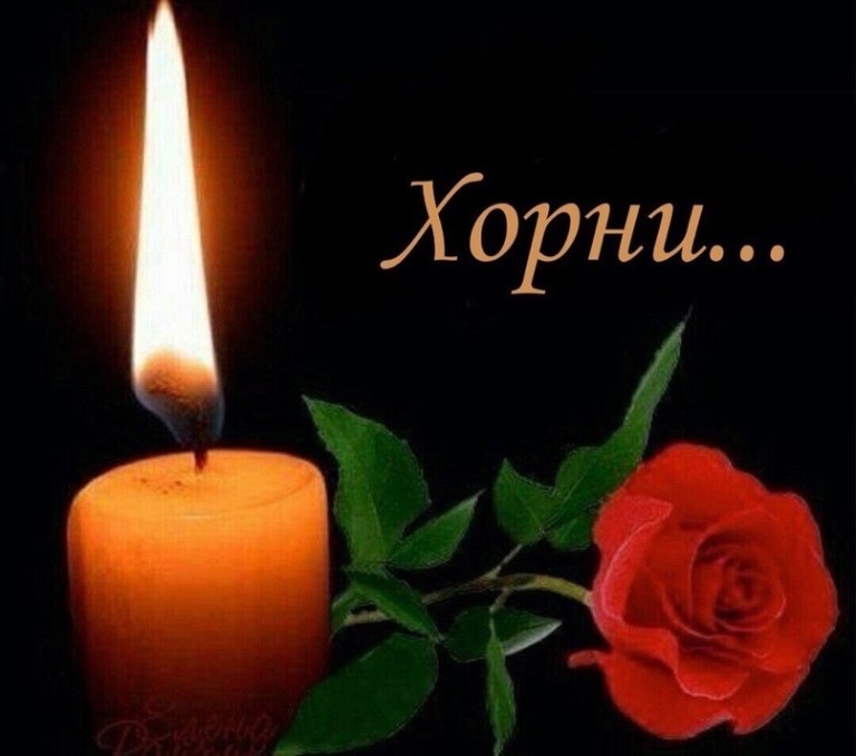 Хорни
