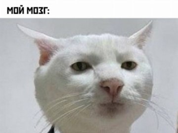 Приемлемо