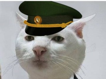 Приемлемо