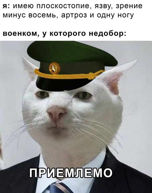 Приемлемо
