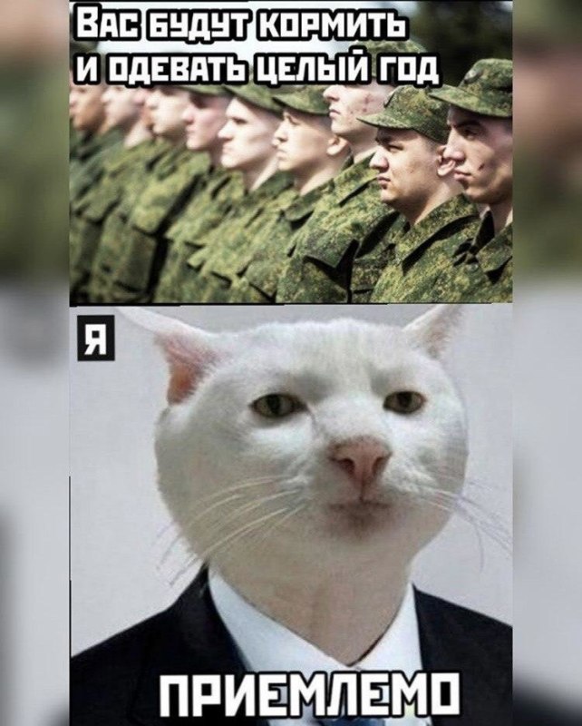 Приемлемо