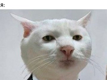 Приемлемо