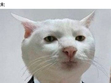 Приемлемо