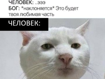 Приемлемо