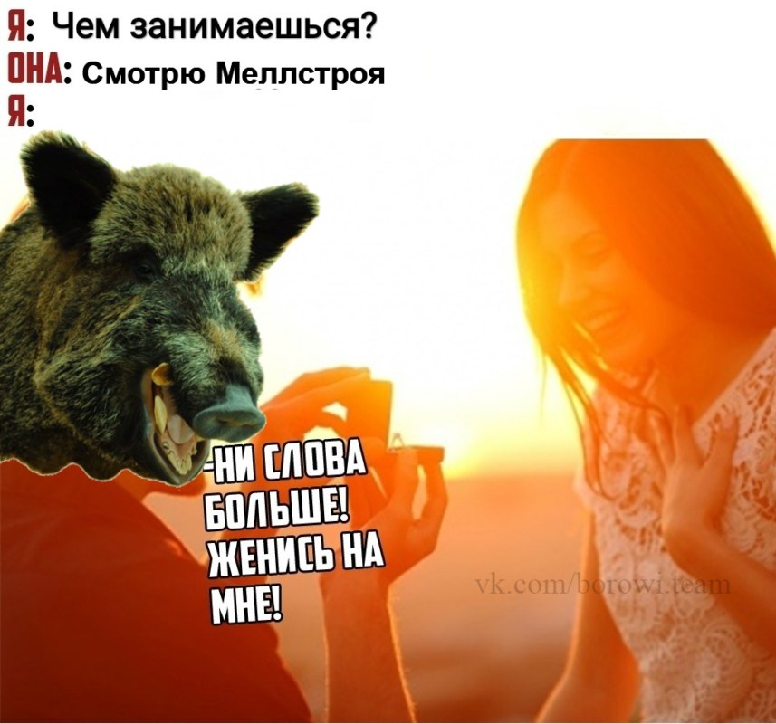 боровы ууу боровы ууу