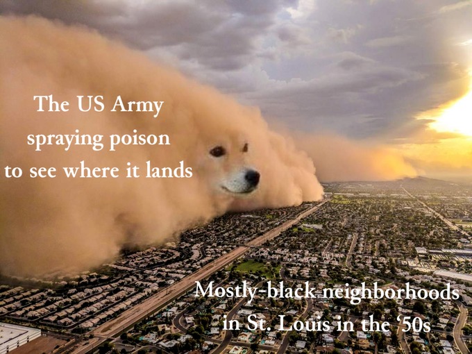Dust Storm Dog Dust Storm Dog