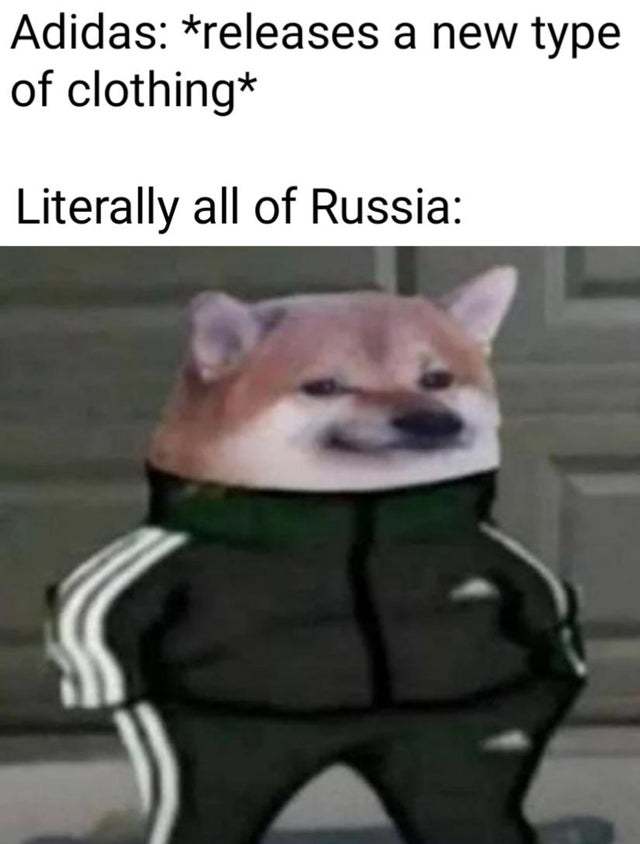 Собака в костюме Адидас