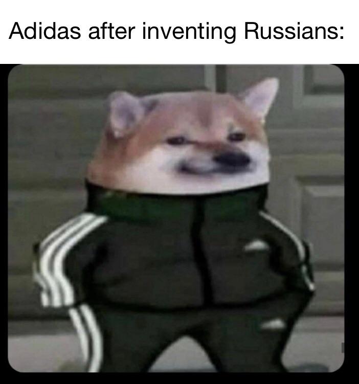 Собака в костюме Адидас