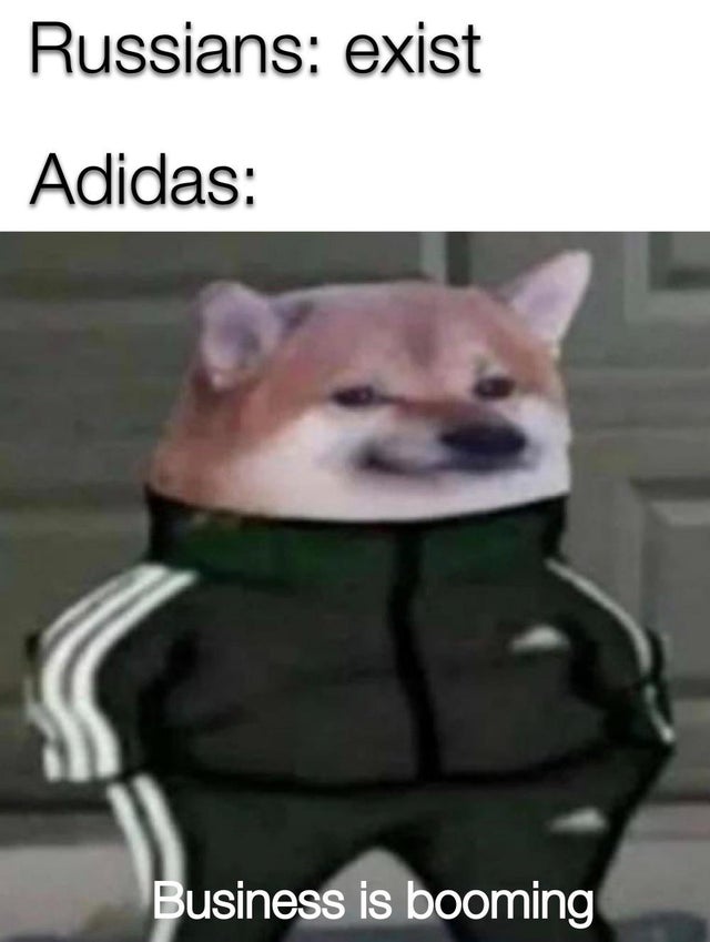 Собака в костюме Адидас
