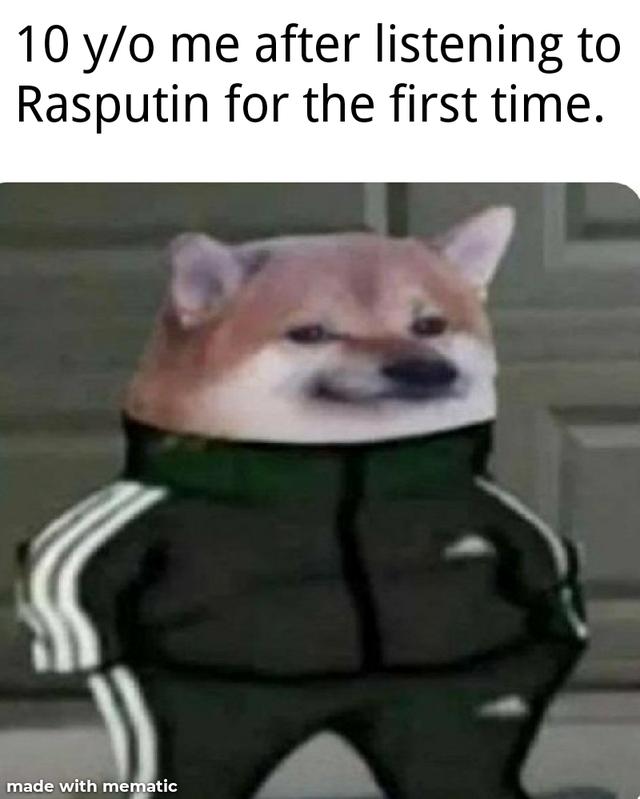 Собака в костюме Адидас