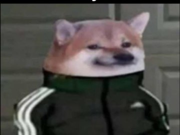Собака в костюме Адидас