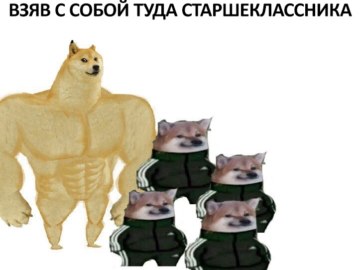 Собака в костюме Адидас