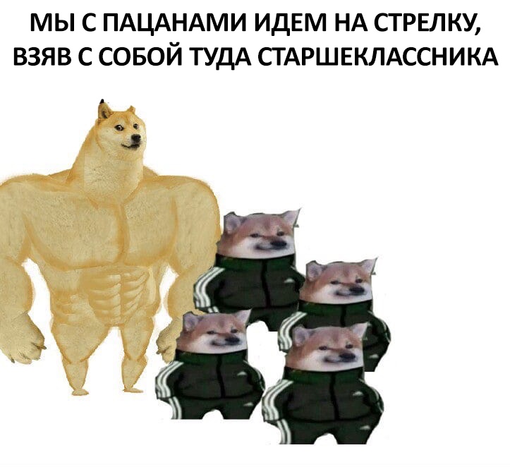 Собака в костюме Адидас Собака в костюме Адидас