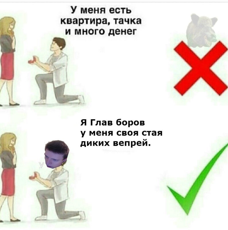 боровы ууу