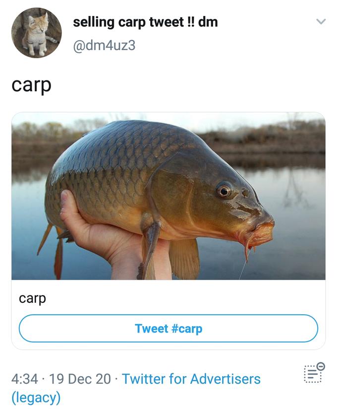 carp meme