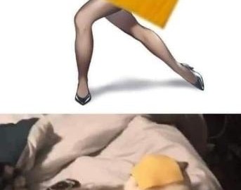Девушка кидает хомяка