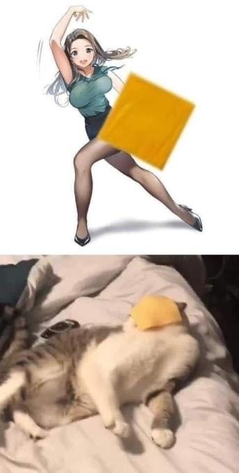 Девушка кидает хомяка