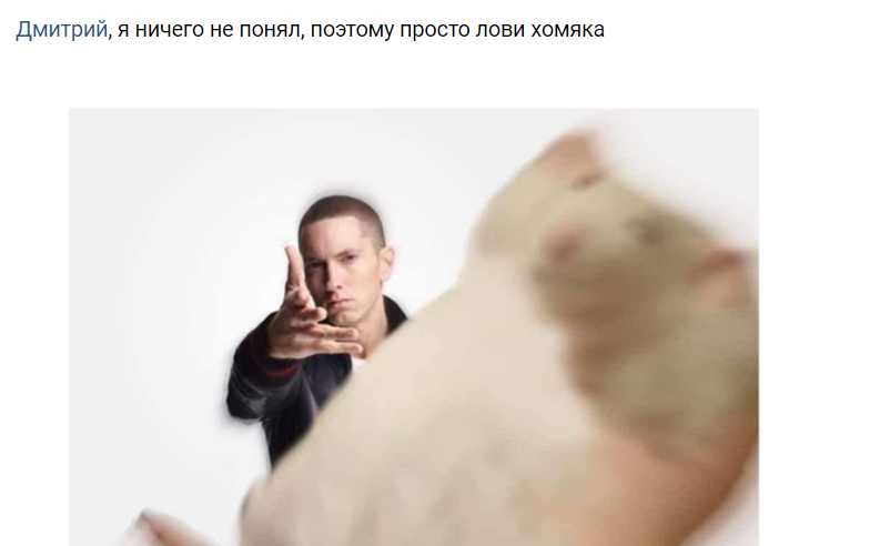 лови хомяка